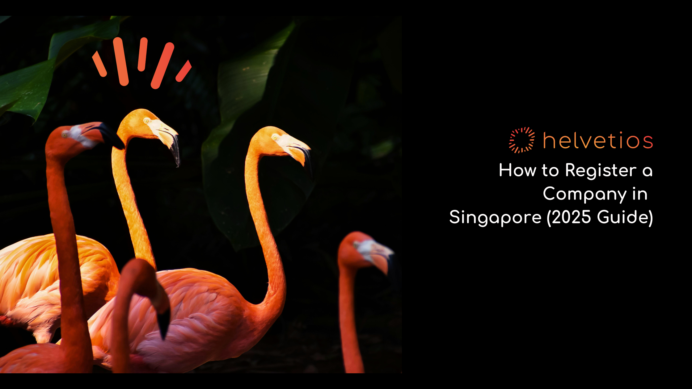 Singapore Company Setup for Foreigners